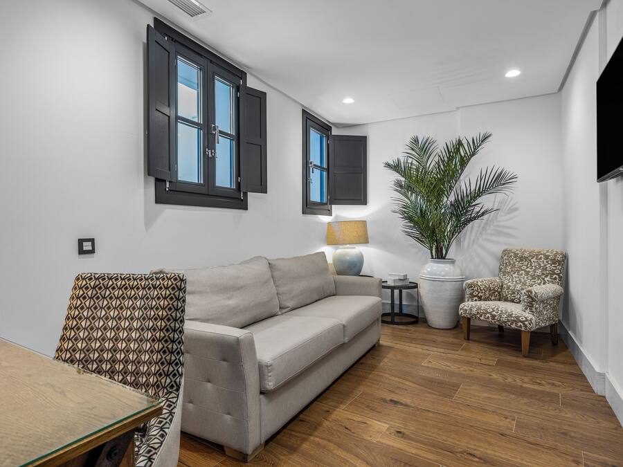 A modern living room with a sofa, patterned armchair, and a potted plant.