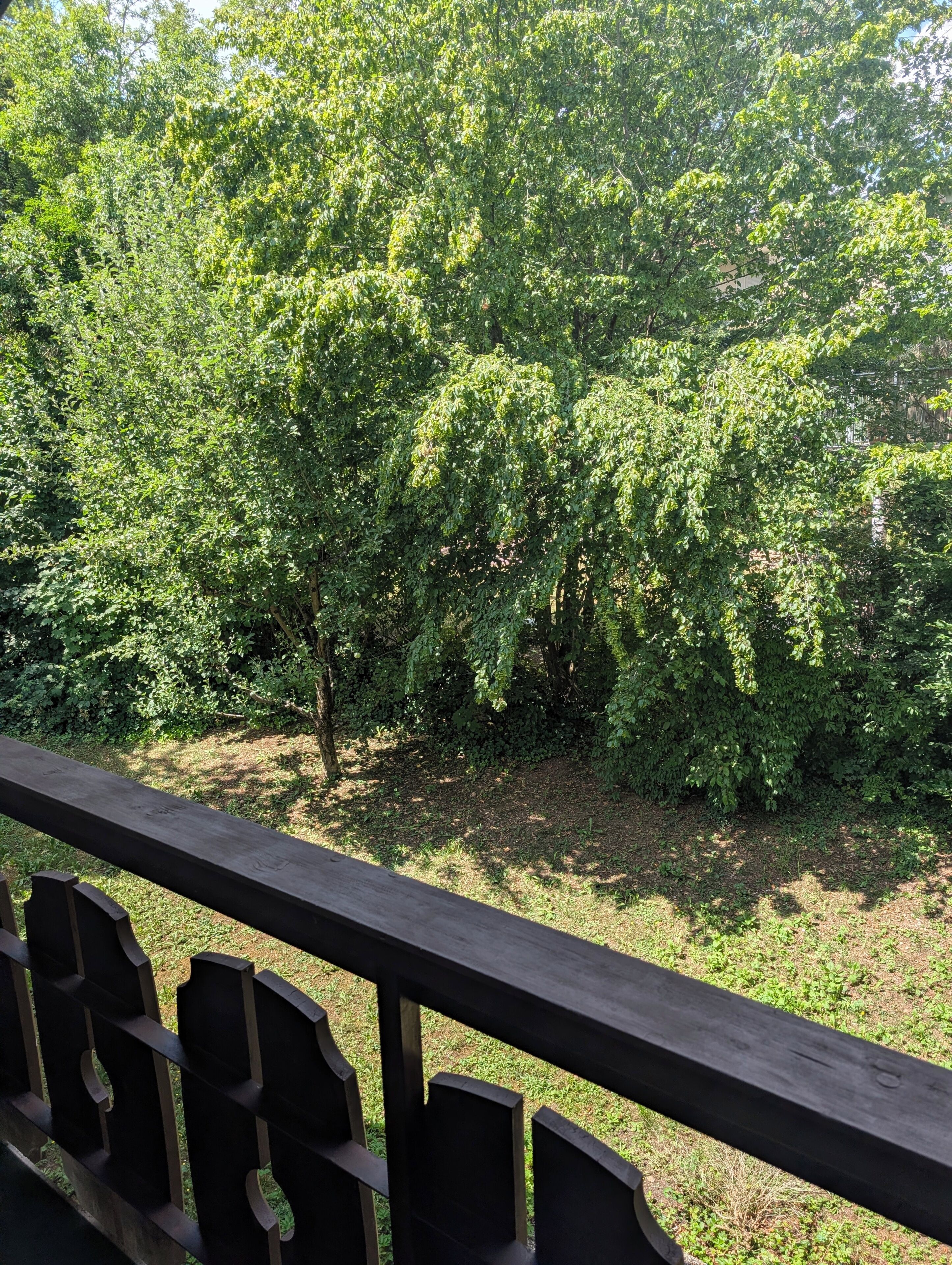 Comfort-Doppelzimmer zur Einzelnutzung, Balkon | Blick auf den Garten