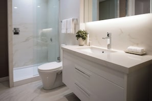 Sèche-cheveux, serviettes fournies, savon, papier toilette