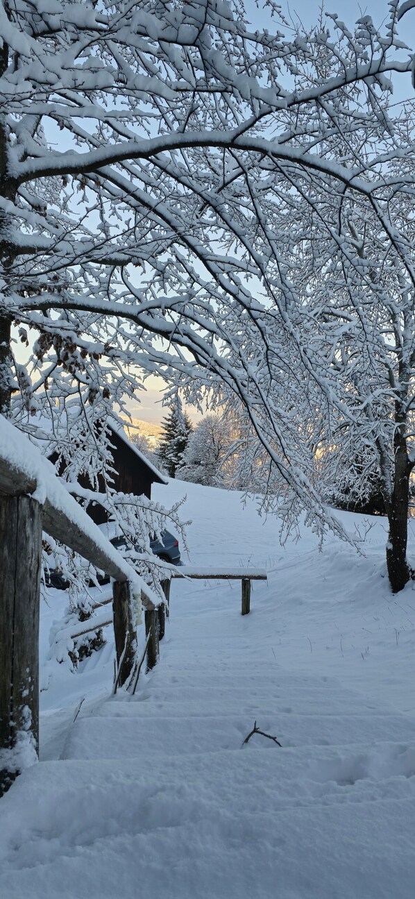 Overnattingsstedets uteområder