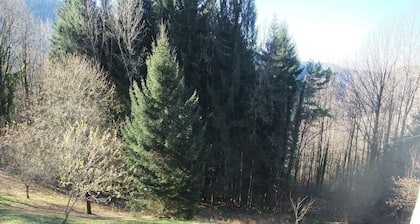 GĂźte isolĂ© au cĆur des Vosges, parfait pour randonnĂ©es