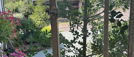 A window view of a garden with a metal gate, a building with a tiled roof, and various plants and flowers.