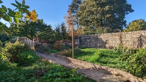 Un sendero de piedra serpentea por un exuberante jardín con diversas plantas y un muro de piedra al fondo.