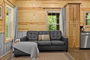 TV, fireplace, offices - Modern Nature Cabin | Private Escape in the Forest (Hanover)