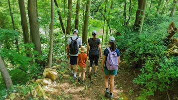 A group of people hiking on a forest trail.