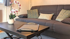 Un salon moderne avec un canapé gris, des coussins à motifs, une petite table avec un plateau et une orchidée en pot.
