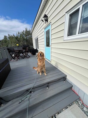 Outdoor dining - Scout's House (Twillingate)