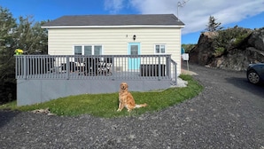A house with a fenced porch, a dog sitting on the grass, and a car parked on a gravel driveway. - Scout's House (Twillingate)