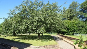 A large tree in a park with a gravel path and a fence in the background. - Charming quiet pavilion, ideal for families or friends near the Vosges (Champagney)