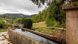 A rustic outdoor water feature with a stone basin and pipe, surrounded by greenery and a mountainous backdrop.