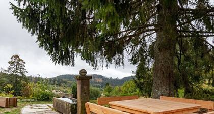 Cozy cottage in the Vosges with fireplace