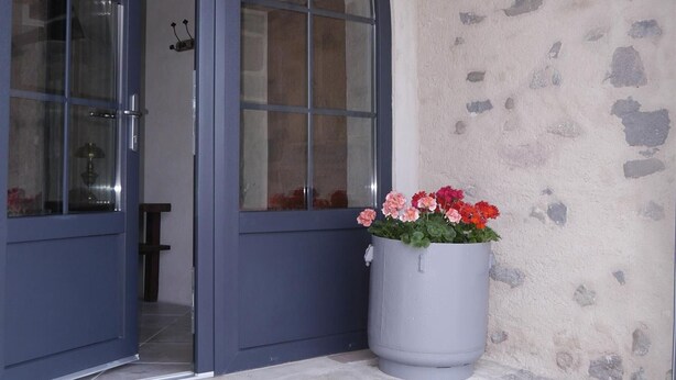 Una puerta con un panel de vidrio y una planta en maceta con flores.