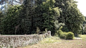 Un mur de pierre avec une structure en pierre en arrière-plan.