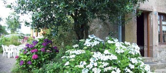 Spacious renovated house with WIFI, perfect for families