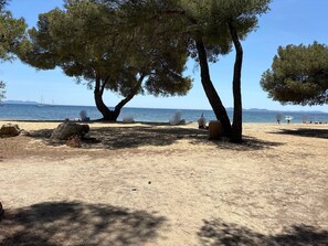 A beach with trees, a clear sky, and the sea in the background.