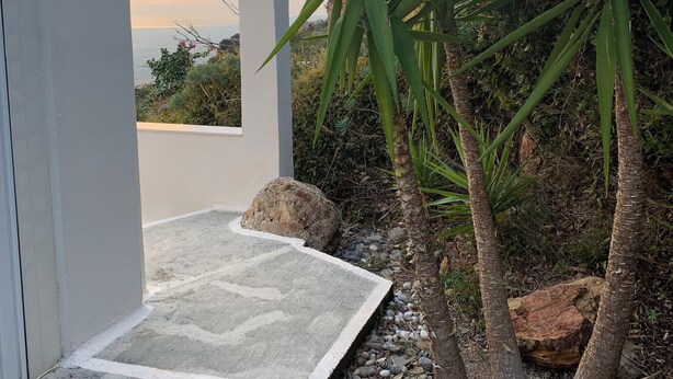 Een terras met een witte muur, een palmboom en uitzicht op zee.