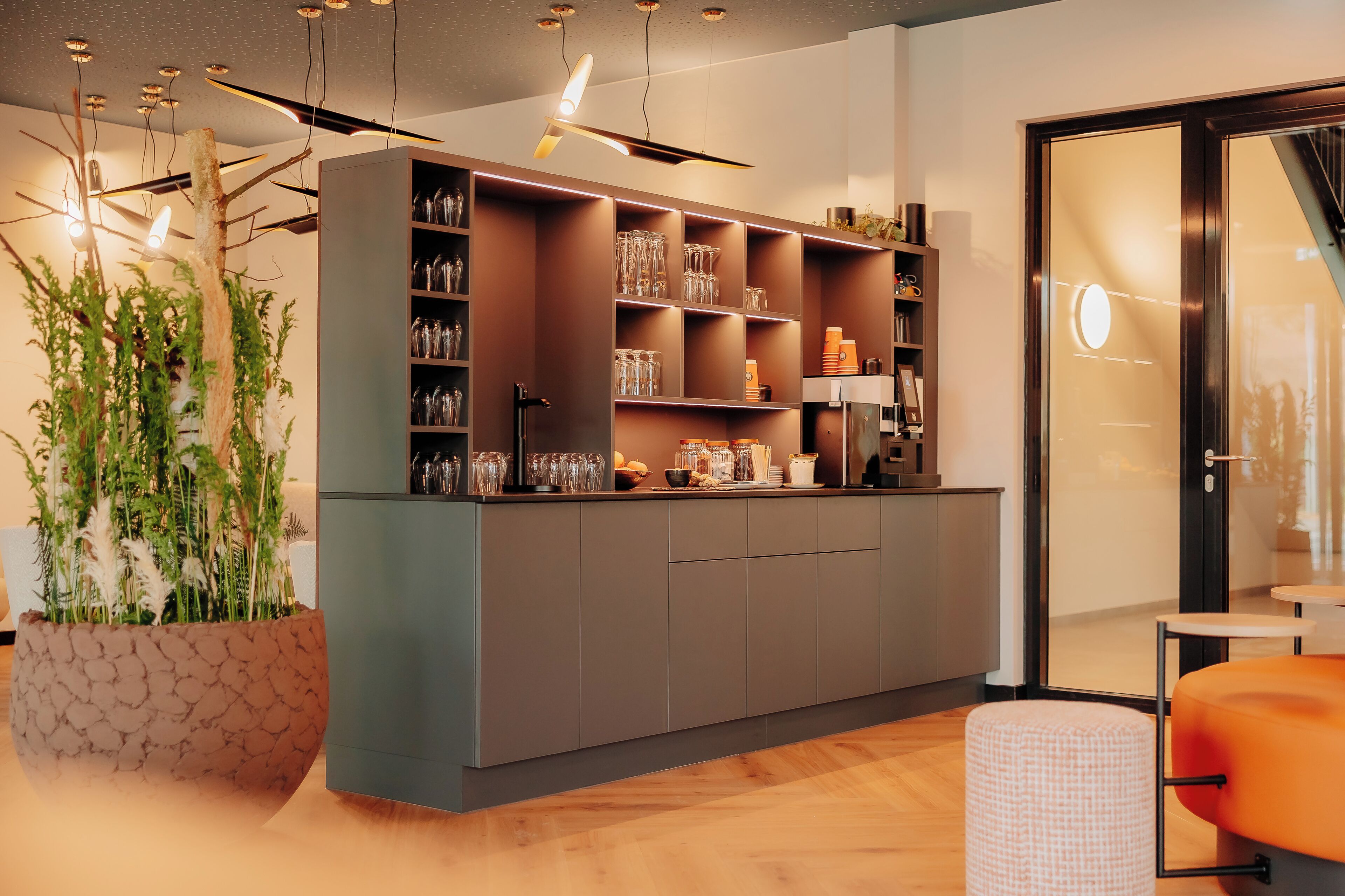 A modern kitchen with grey cabinets, a large island, and a potted plant.
