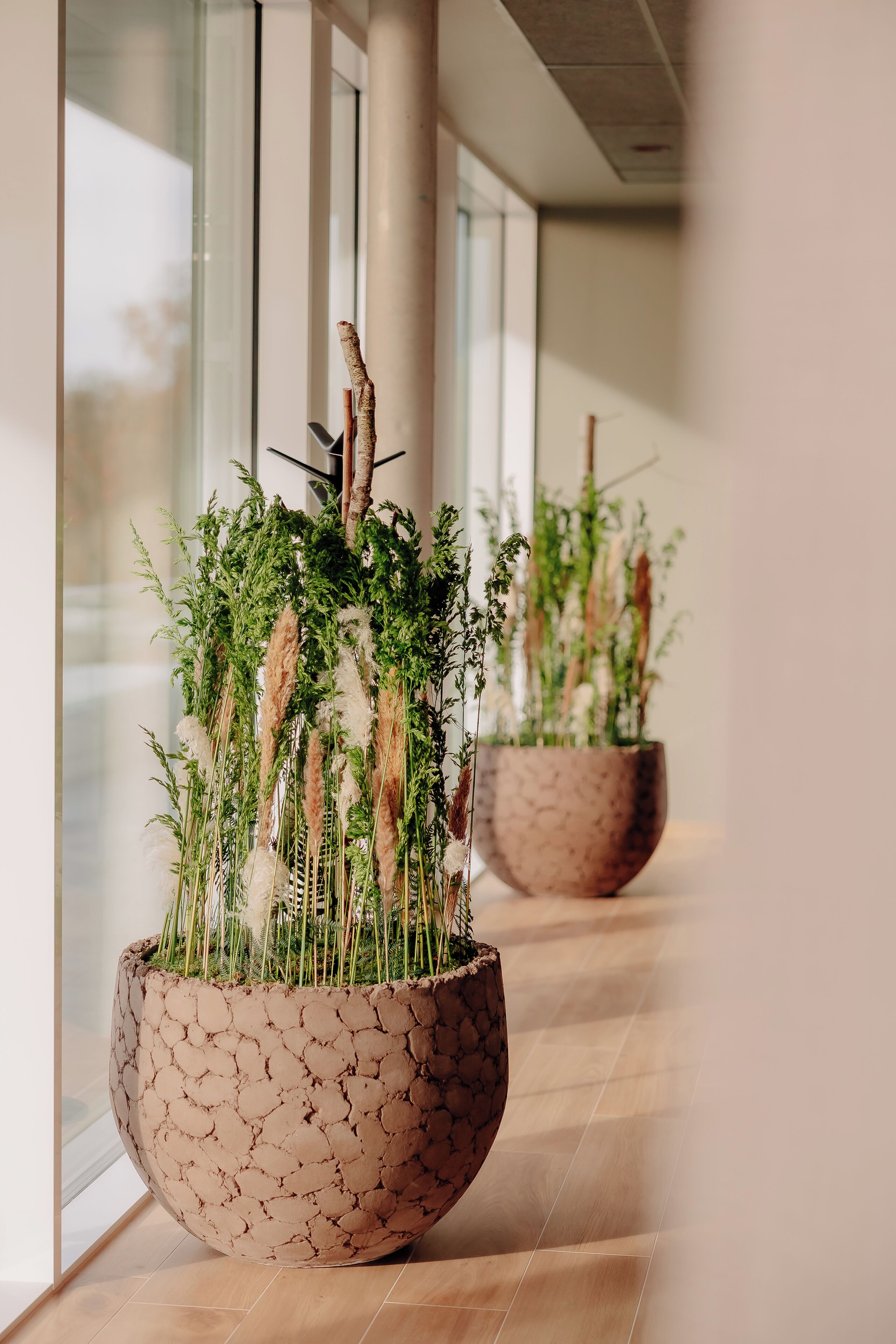 Un pasillo con amplios ventanales y plantas en macetas.