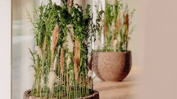 Un pasillo con amplios ventanales y plantas en macetas.