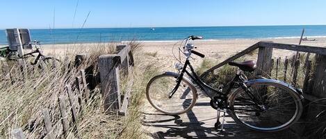 Sun loungers, beach towels