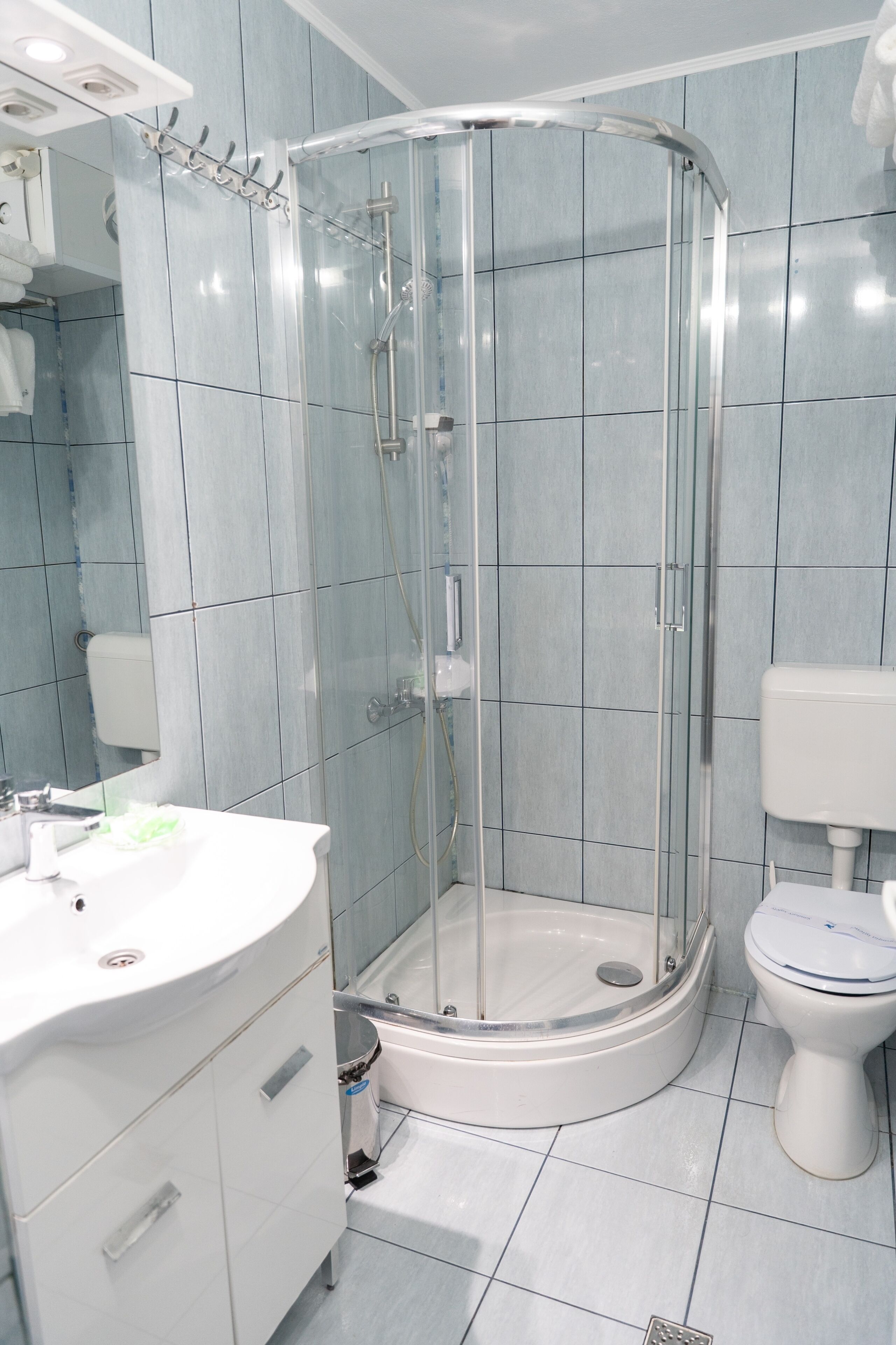 A bathroom with a glass-enclosed shower, a white sink, and a toilet.