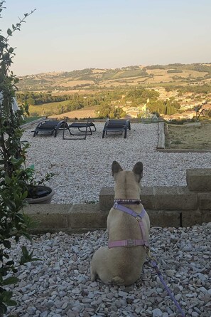 Property grounds - App. LAGUNA @ Casa Talènt, vacation in the heart of Le Marche! Dogs welcome! (Marche)