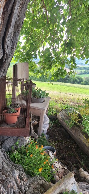 المنطقة المحيطة بالمنشأة