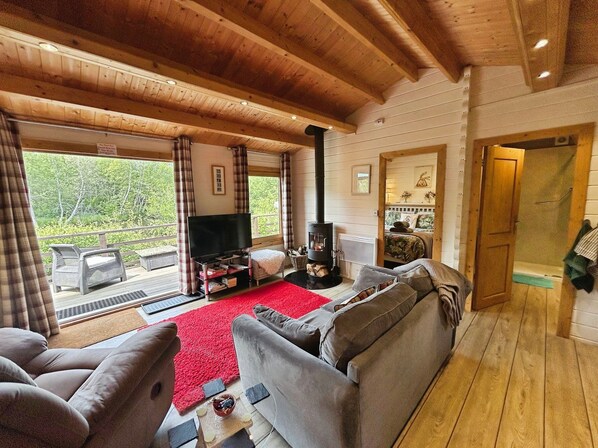 Τηλεόραση LCD, τζάκι