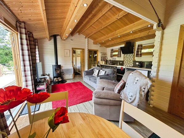 LCD TV, fireplace - Willow End (Sandown)