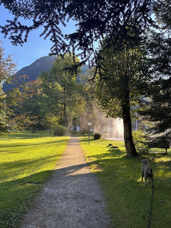 Property grounds - Vacation apartment with mountain view and pool in the Grubhof castle park (Sankt Martin bei Lofer)