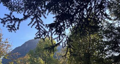 Vacation apartment with mountain view and pool in the Grubhof castle park