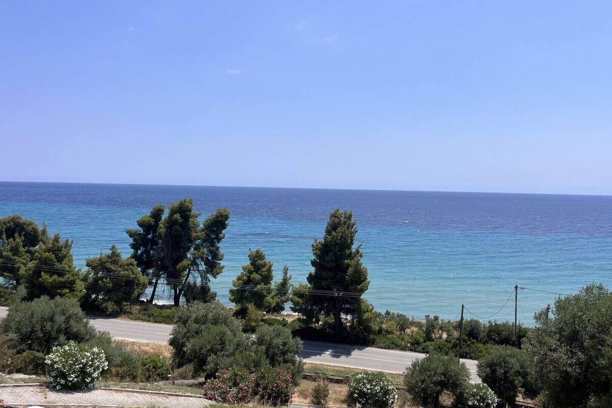 A coastal road with trees and a clear view of the sea.