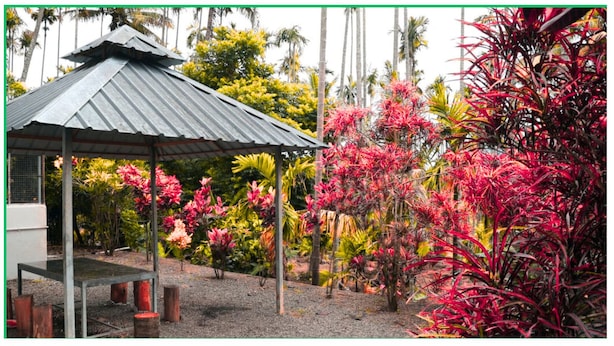 A covered outdoor area with a metal roof, surrounded by tropical plants and trees. - Green Mount Residency (Devikolam)