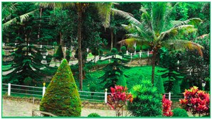 A lush garden with various tropical plants, a white fence, and a stone pathway. - Green Mount Residency (Devikolam)