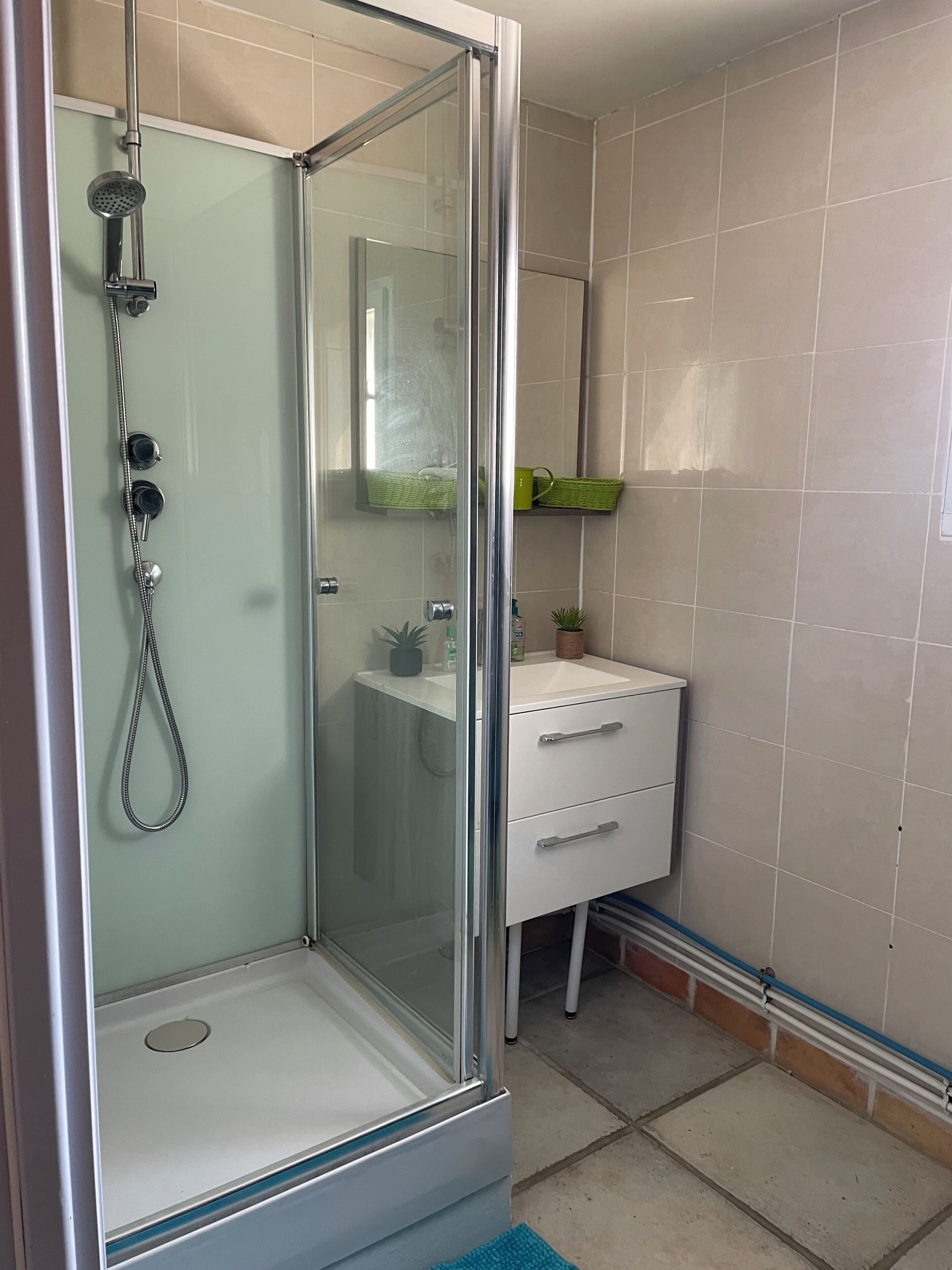 Un box de ducha con paredes de vidrio, un cabezal de ducha manual, un lavamanos blanco con un espejo encima y una pequeña planta en maceta sobre el mostrador.