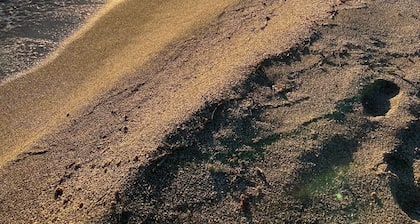 Beautiful family apartment in second line beach