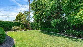 House | 1 bedroom, Internet