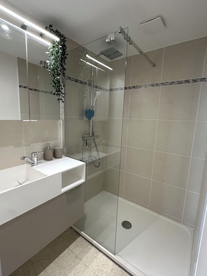 Dusche, Haartrockner, HandtĂŒcher, Seife