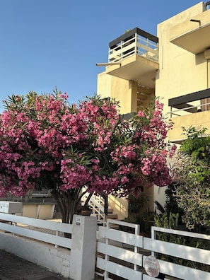 المنطقة المحيطة بالمنشأة