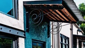 A building with a white and blue facade, large windows, and a red dog sitting outside. - The Loft on Campus Su (Fayetteville)