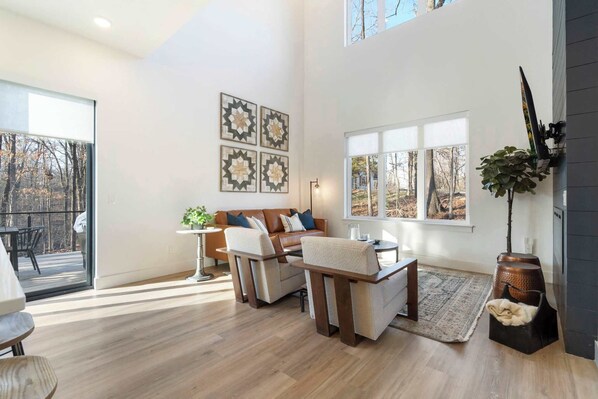 TV, fireplace, books