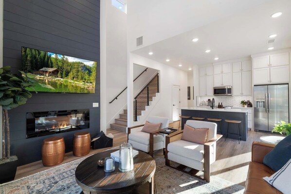 TV, fireplace, books