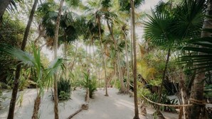 A pathway surrounded by palm trees and greenery. - Rooftop Pool + Gym + Laundry + Coworking + Cinema (Tulum)