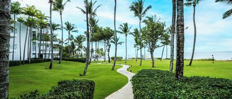 Área da propriedade