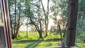 A wooden rocking bench with a floral cushion on a wooden deck, overlooking a grassy area with trees. - Peace & Simplicity in a Little Red Cabin on the Farm (Lena)