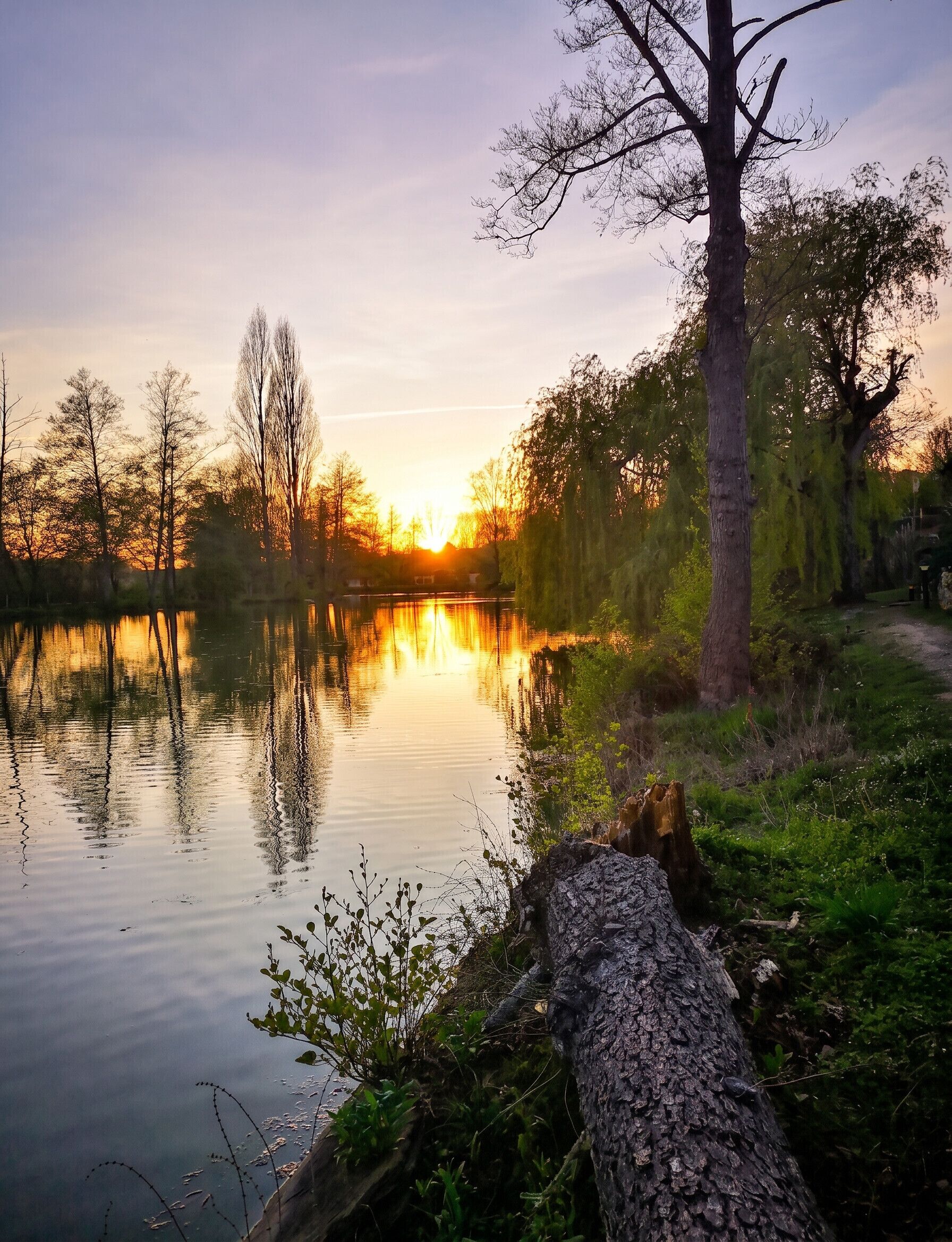 Vue sur lac