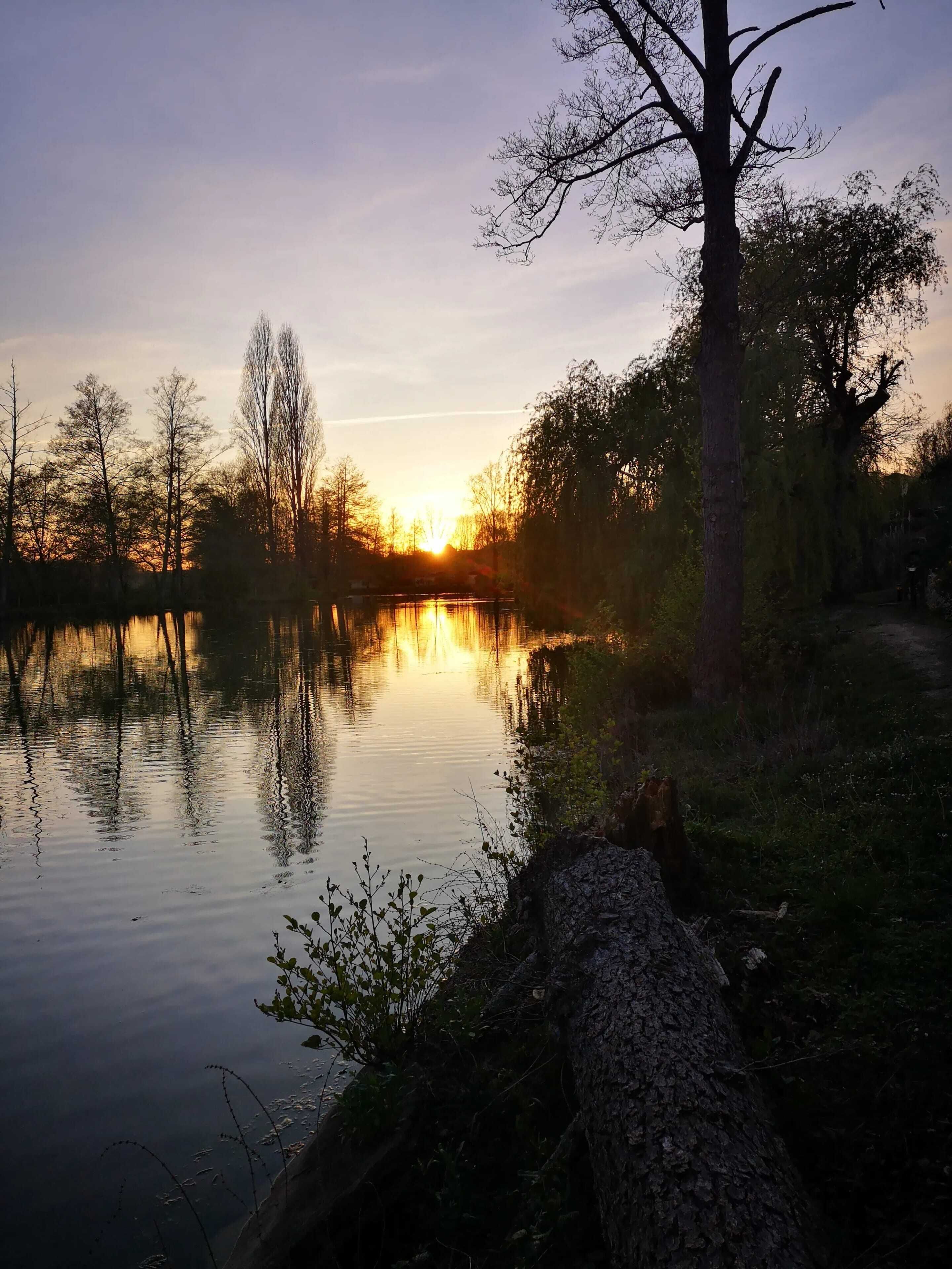 Lake view