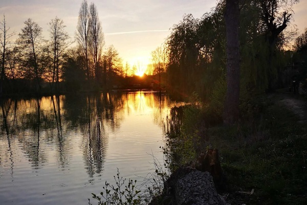 Lake view