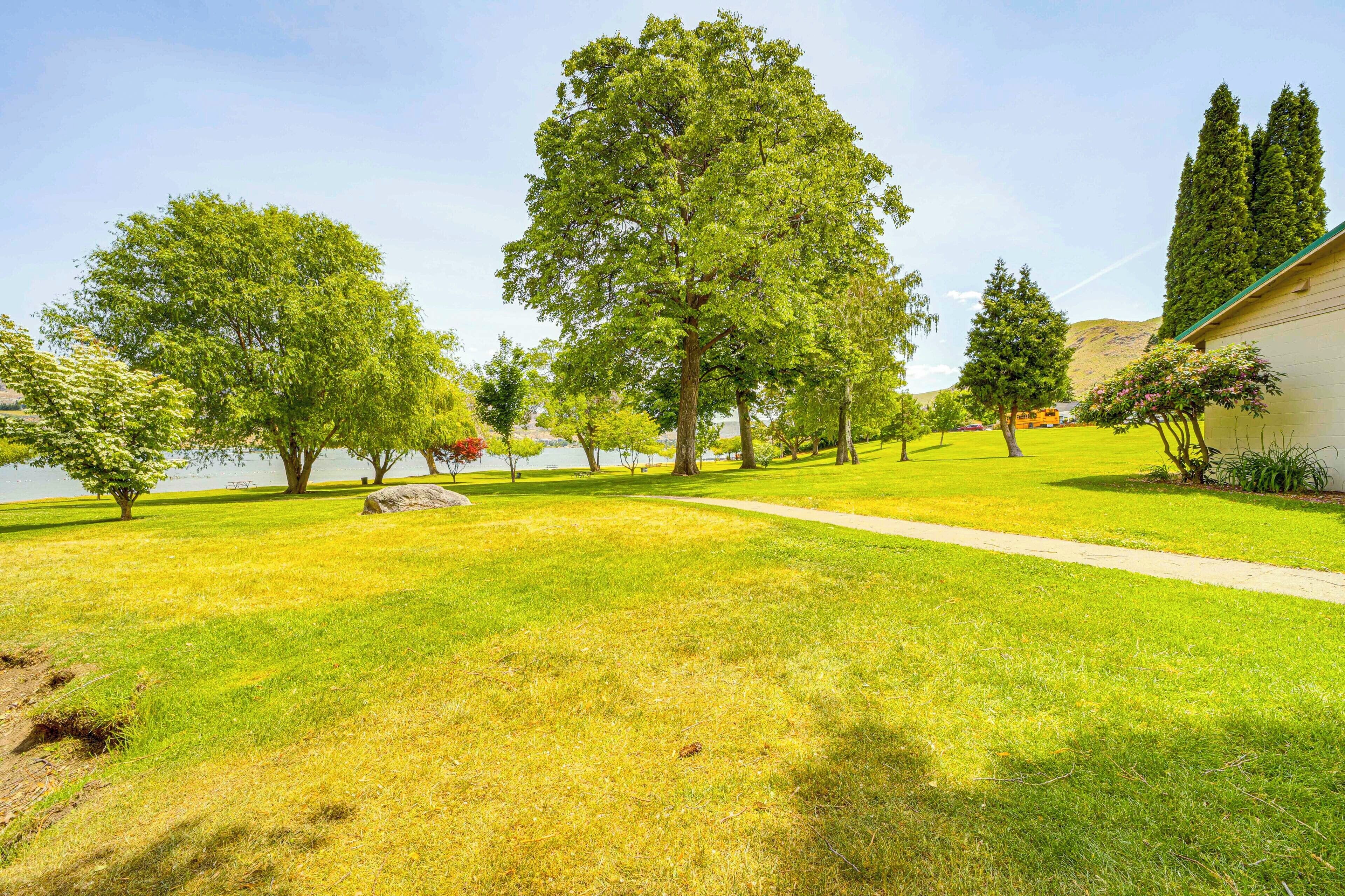 A grassy area with trees and a building.