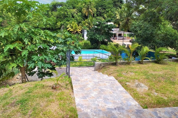 Swimming pool view